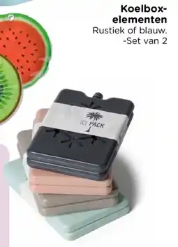 Xenos Koelboxelementen aanbieding