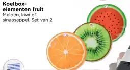 Xenos Koelboxelementen fruit aanbieding