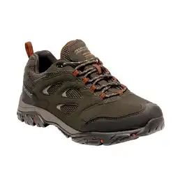 Decathlon Heren Holcombe IEP Lage Wandelschoenen (Bayleaf/Burnt Umber) aanbieding