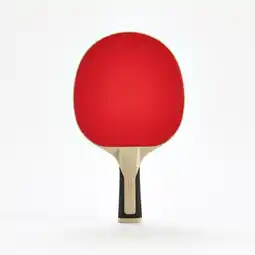 Decathlon Sterk tafeltennisbatje PPR 500 aanbieding