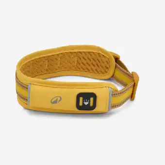 Decathlon Hondenhalsband 500 geel aanbieding