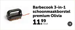 AVEVE Barbecook 3-in-1 schoonmaakborstel premium Olivia aanbieding