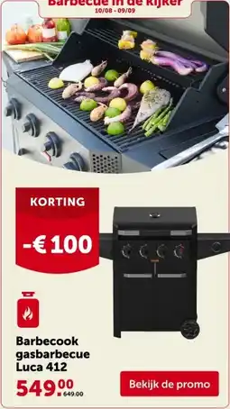 AVEVE Barbecook gasbarbecue Luca 412 aanbieding