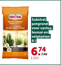 AVEVE Substral potgrond voor cactus, bonsai en vetplanten 61 aanbieding