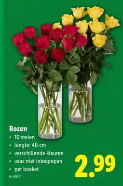 Lidl Rozen aanbieding