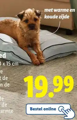 Lidl zoofari Hondenbed aanbieding