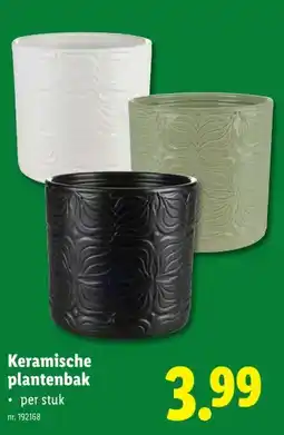 Lidl Keramische plantenbak aanbieding