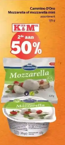 Spar Cammino d'oro mozzarella of mozzarella mini aanbieding