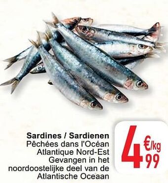 Cora Sardines - sardienen aanbieding