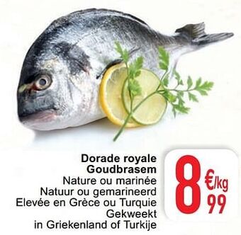 Cora Dorade royale goudbrasem aanbieding