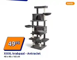 Action XXXL krabpaal - Antraciet aanbieding
