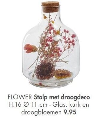 Casa Flower stolp met droogdeco aanbieding