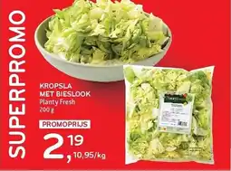 Alvo Kropsla met bieslook aanbieding