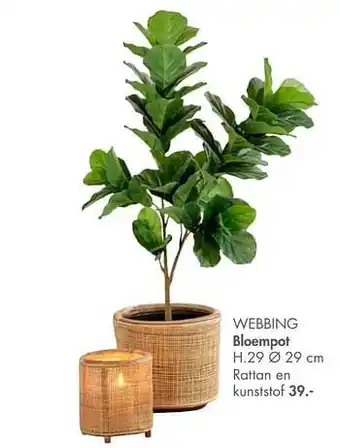 Webbing bloempot