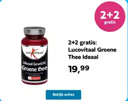 Plein.nl Lucovitaal Groene Thee Ideaal aanbieding