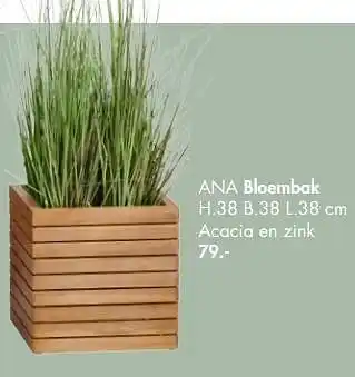 Ana bloembak