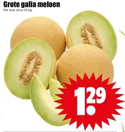 Dirk Grote galia meloen aanbieding