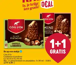 Delhaize IJs op een stokje aanbieding