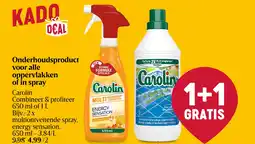 Delhaize Onderhoudsproduct voor alle oppervlakken of in spray aanbieding
