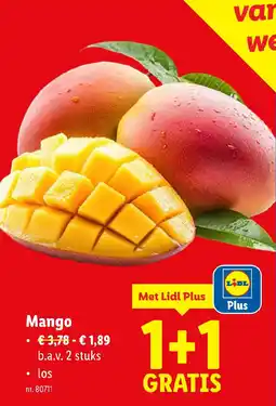 Lidl Mango aanbieding