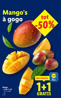 Lidl Mango's aanbieding