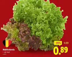 Lidl Multicolorsla aanbieding