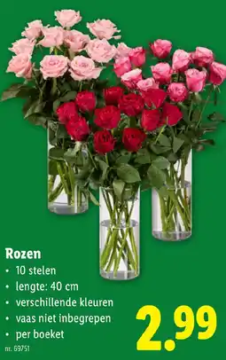 Lidl Rozen aanbieding