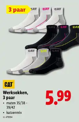 Lidl Cat werksokken, 3 paar aanbieding