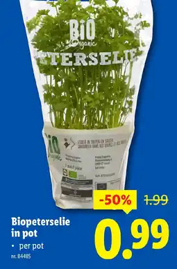 Lidl Biopeterselie in pot aanbieding