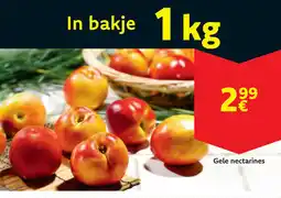 Cora Gele nectarines aanbieding