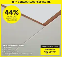 Zelfbouwmarkt Wand/plafondpaneel aanbieding