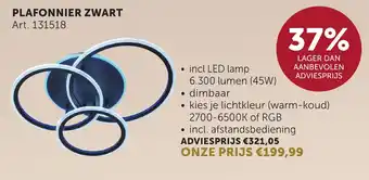 Zelfbouwmarkt Plafonnier zwart aanbieding