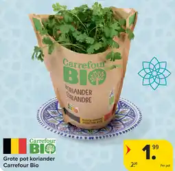 Carrefour Grote pot koriander Carrefour Bio aanbieding