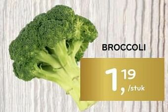 Alvo Broccoli aanbieding