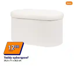 Action Teddy opbergpoef aanbieding