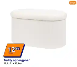Action Teddy opbergpoef aanbieding