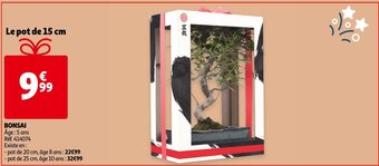 Bonsai