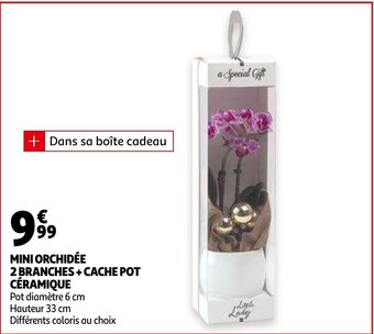 Auchan Mini Orchidee 2 Branches + Cache Pot Ceramique aanbieding