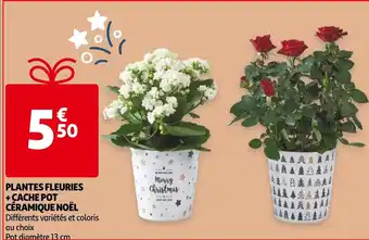 Auchan Plantes Fleuries + Cache pot Ceramique Noel aanbieding
