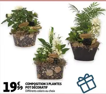 Auchan Composition 3 Plantes pot Decoratif aanbieding