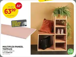 Brico Multiplex Paneel Topplex aanbieding