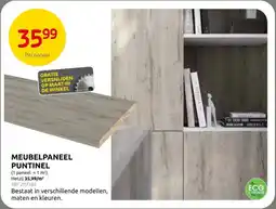 Brico Meubelpaneel Puntinel aanbieding