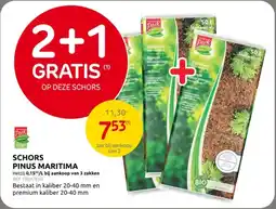 Brico Schors Pinus Maritima aanbieding