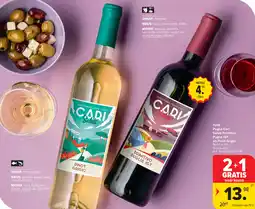 Carrefour Puglia Cari Saluti Primitivo Puglia IGT en Pinot Grigio aanbieding