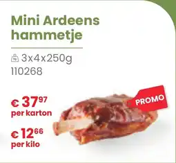 Bidfood Mini ardeens hammetje aanbieding