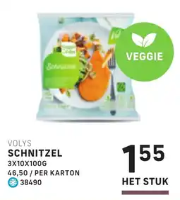 Bidfood Volys schnitzel aanbieding