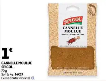 Cannelle moulue spigol