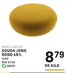 Bidfood Maaz cheese gouda jong rond 48% aanbieding