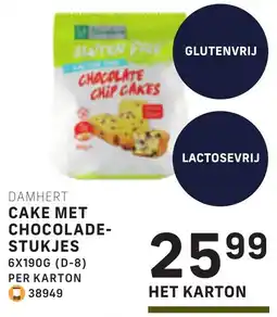 Bidfood Damhert Cake met Chocolade Stukjes aanbieding