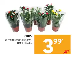Trafic Roos aanbieding